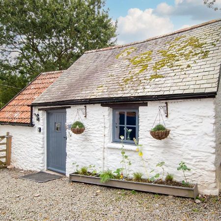 Love Cottage Combe Martin Eksteriør bilde
